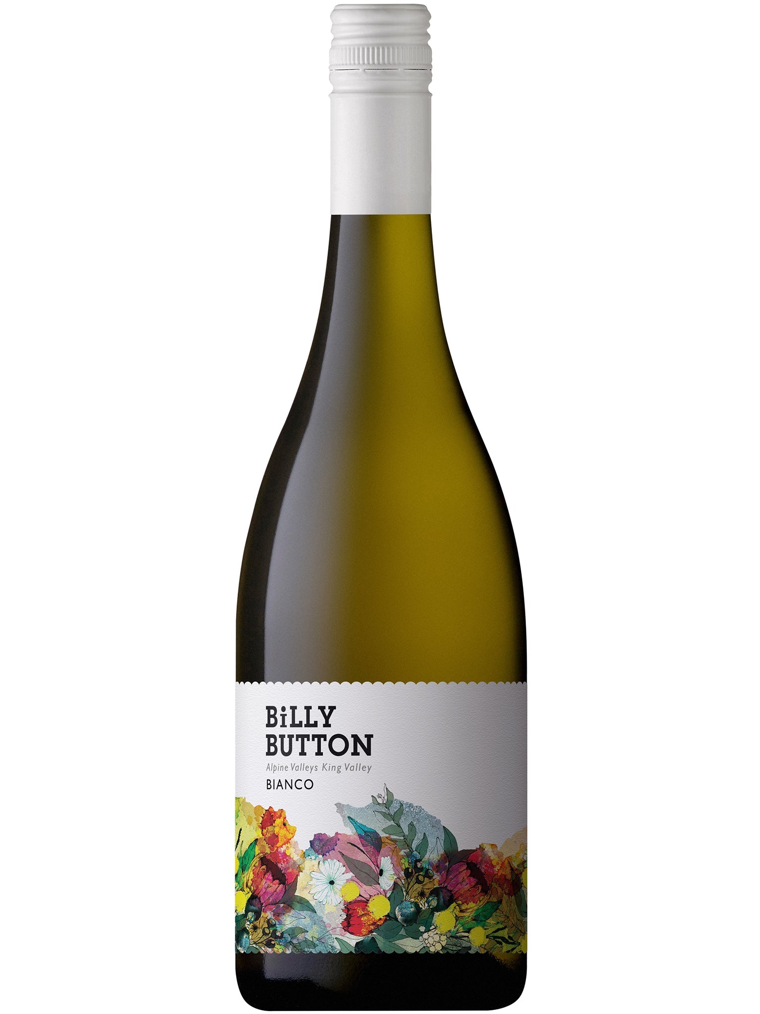 Billy Button Bianco 12pk