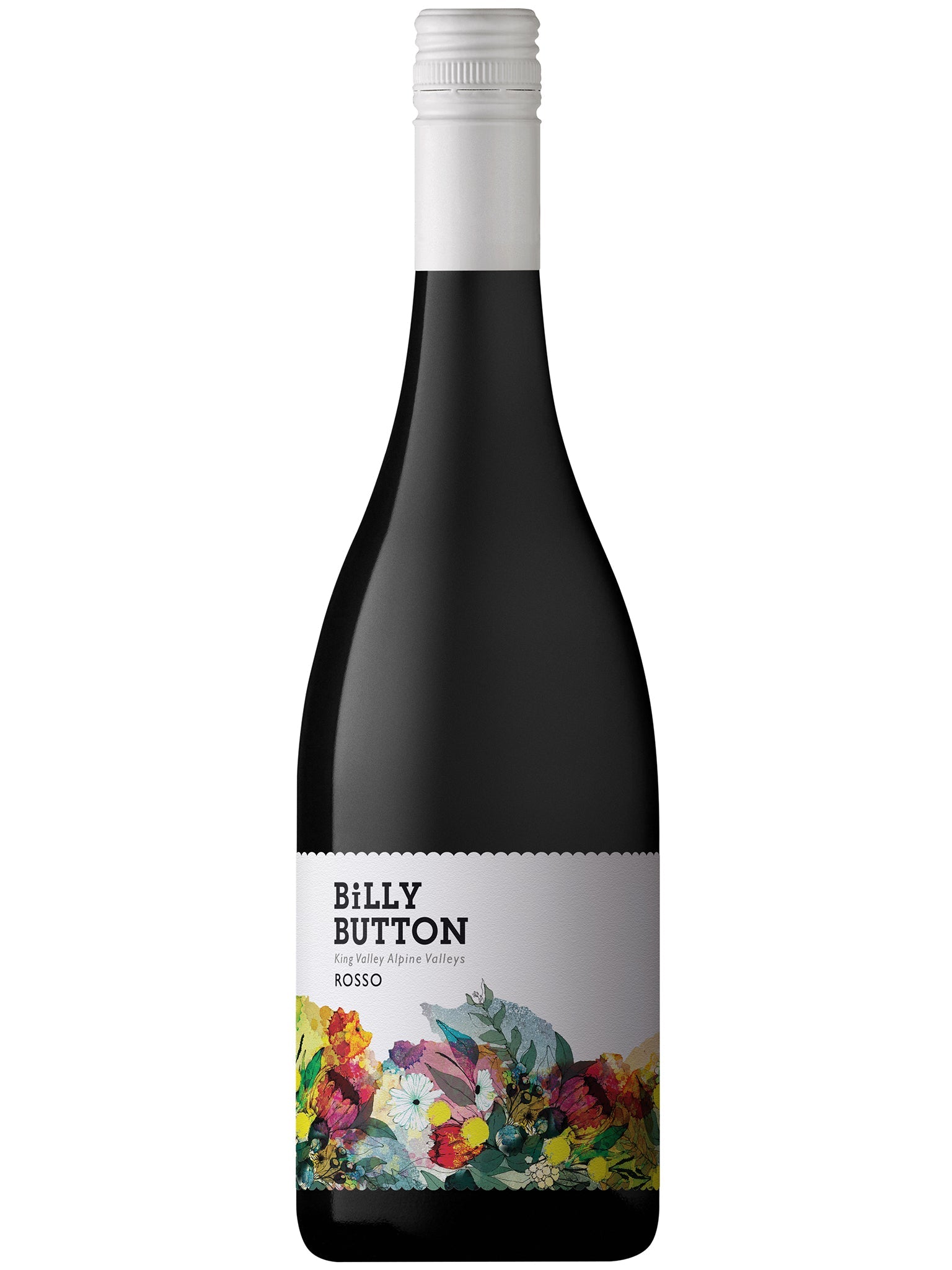 Billy Button Rosso 12pk