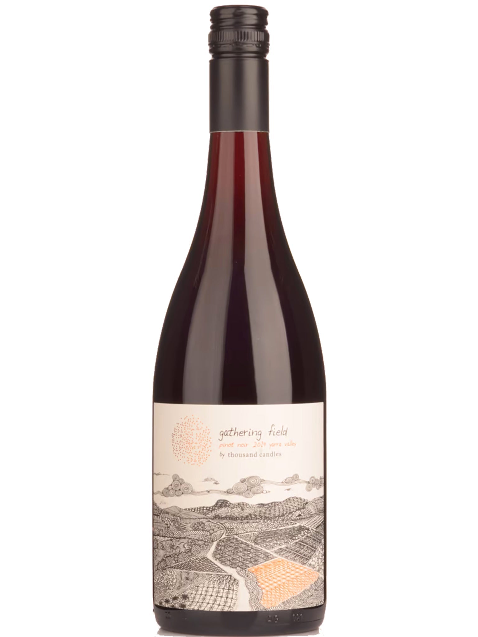 Thousand Candles Gathering Field Pinot Noir 12pk
