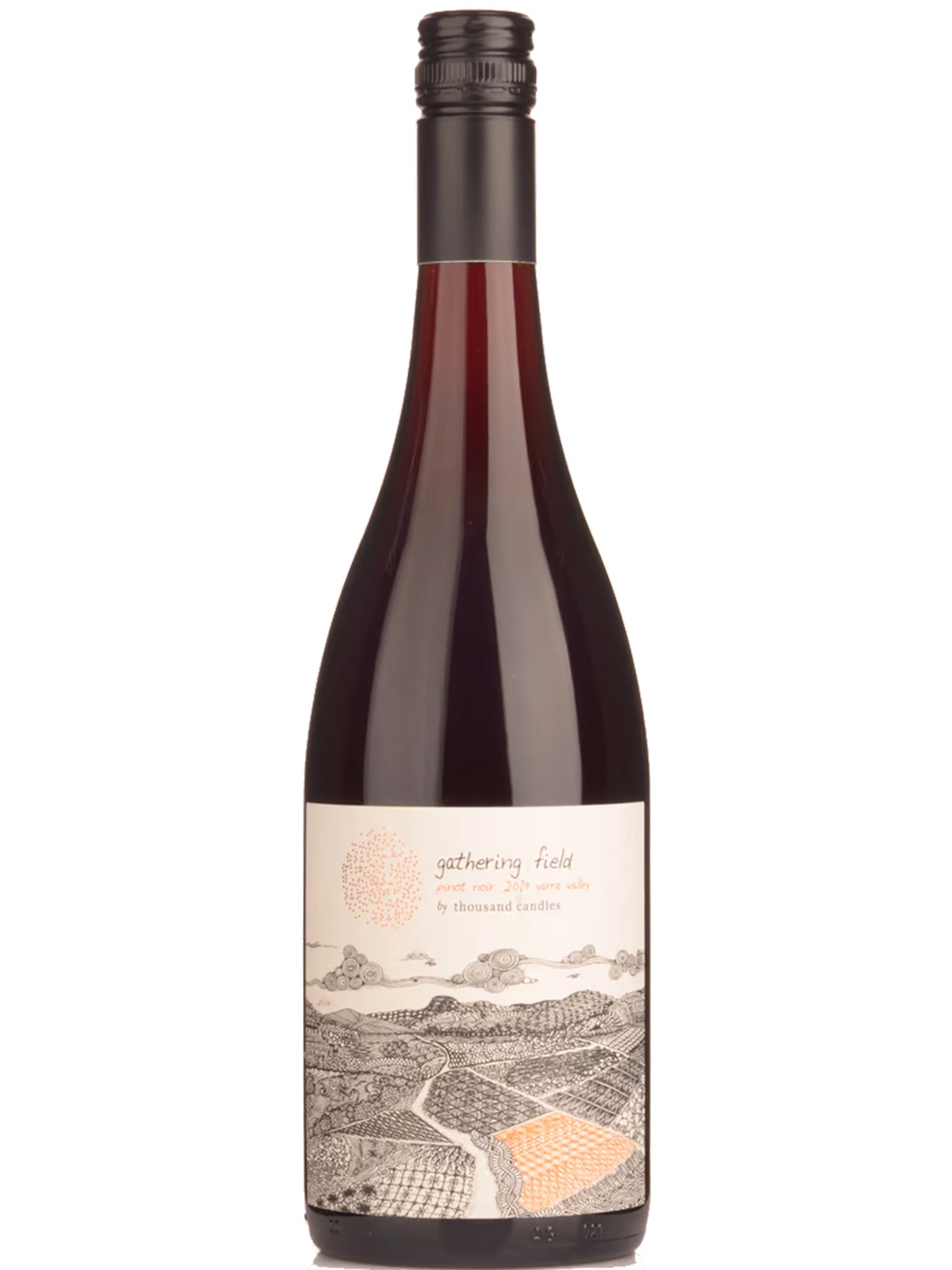 Thousand Candles Gathering Field  Pinot Noir 12pk 2021